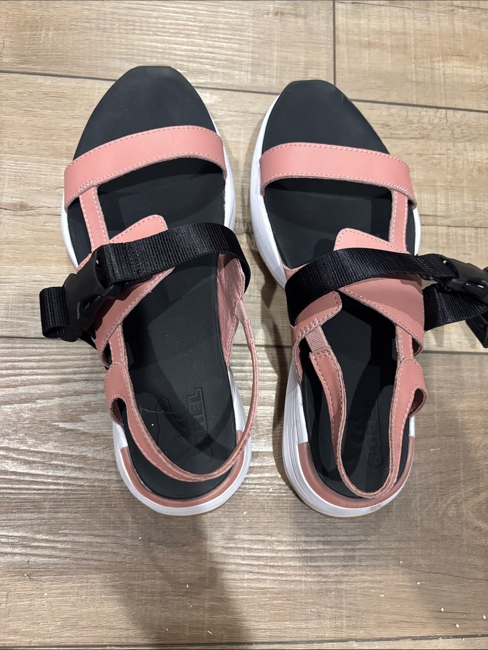 Sorry Women's Pink and Black Sport Sandals